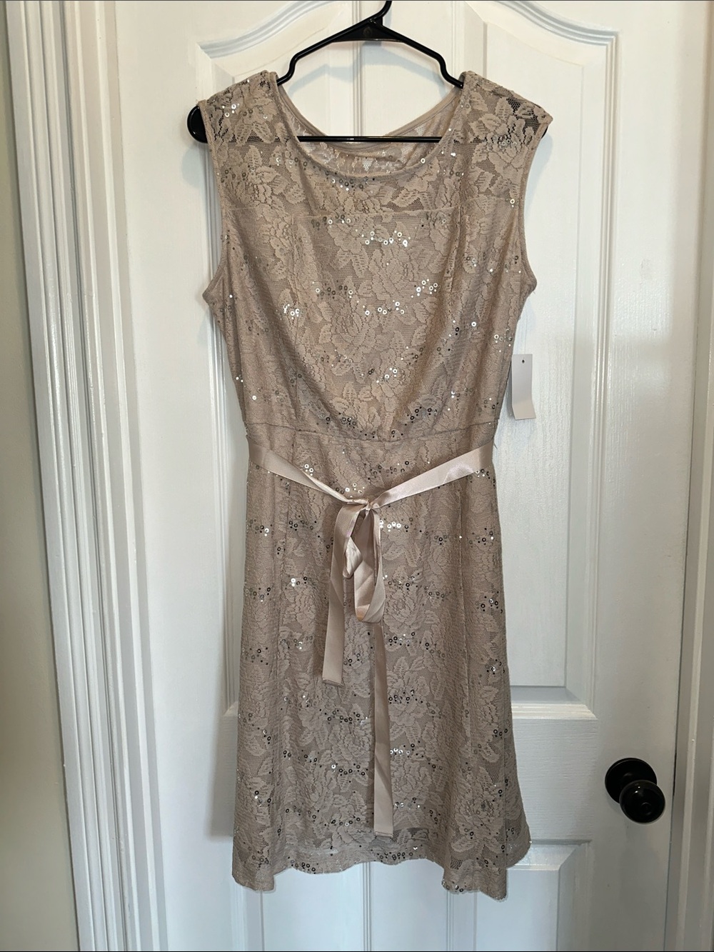 Sleeveless Lace Sequin Mini Dress in Taupe with Satin Ribbon